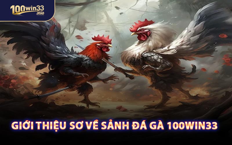 Giới Thiệu Sơ Về Sảnh Đá Gà 100WIN33