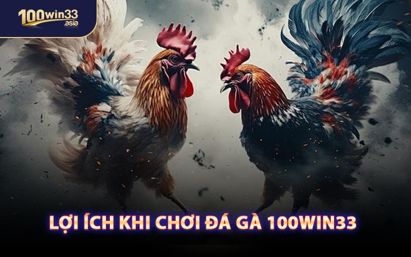 Lợi Ích Khi Chơi Đá Gà 100WIN33